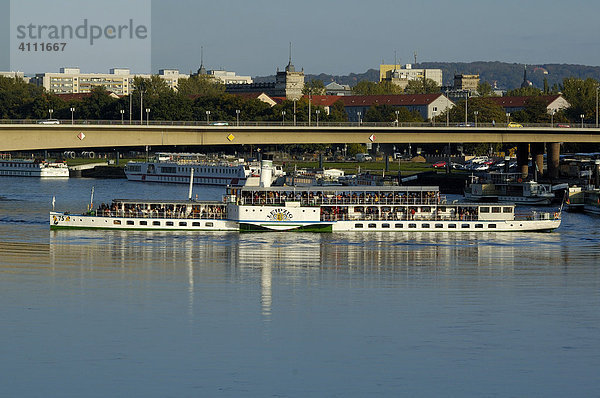 Sächsische Dampfschifffahrt Schaufelraddampfer auf der Elbe Dresden Sachsen Deutschland