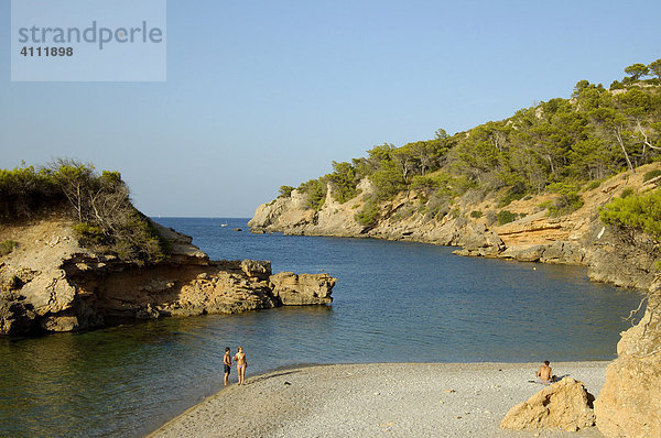 Bucht von Pollenca  Alcudia  Mallorca  Balearen  Spanien