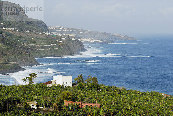 Nordküste bei San Juan de la Rambla  Teneriffa  Kanarische Inseln  Spanien