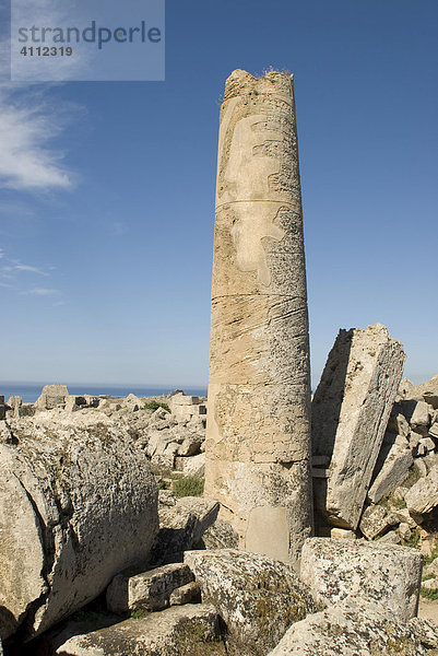 Säule  Trümmer von Tempel G  Selinunt  Sizilien  Italien
