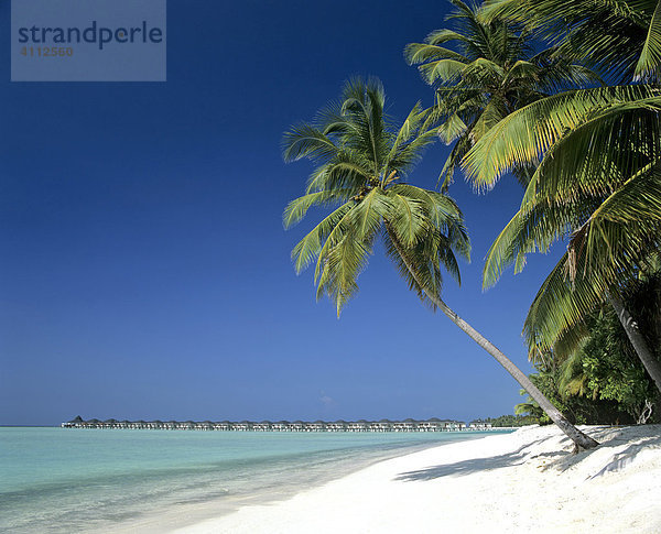 Wasserbungalows  Palmen  Strand  Meer  Sun Island  Ari Atoll  Malediven