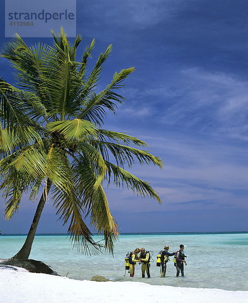 Tauchertraining im seichten Wasser  Palme  Strand  Meer  Malediven