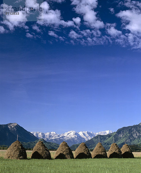 Murnauer Moos  Heutristen  Wettersteingebirge  Murnau  Oberbayern  Deutschland