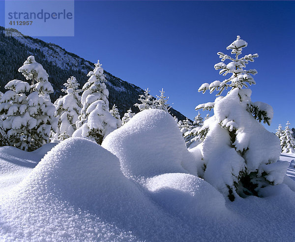 Verschneite Winterlandschaft  Winterzauber  Schneehügel  Winter