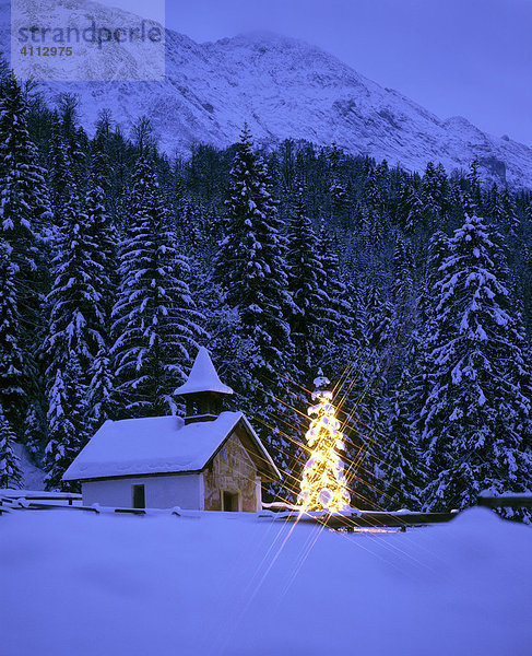 Kapelle bei Elmau  Christbaum  Weihnachten  Oberbayern  Deutschland