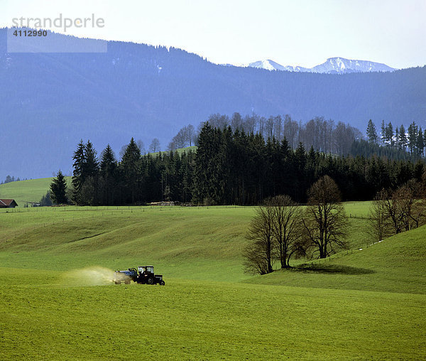 Landwirtschaft  Gülle  Traktor  Düngung von Wiesen im Allgäu  Bayern  Deutschland