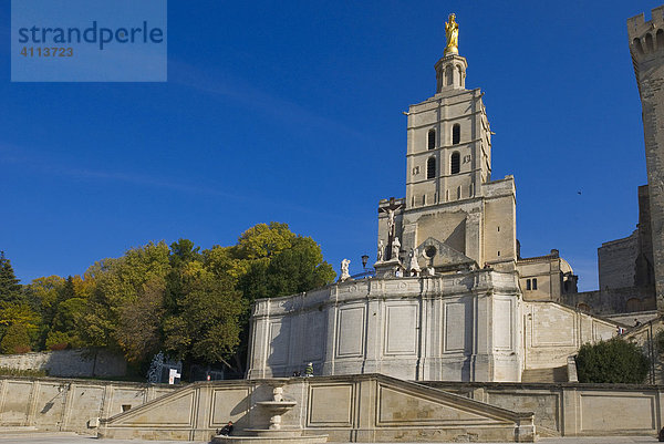 Notre-Dame-des Doms  Kathedrale  Avignon  Provence-Alpes-Cote d Azur  Frankreich