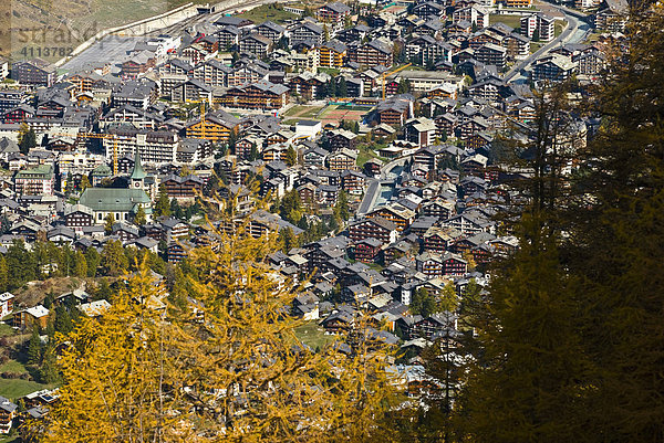 Zermatt  Wallis  Schweiz