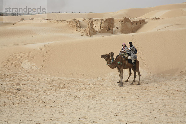 Kamelreiter in der Sahara  Douz  Tunesien