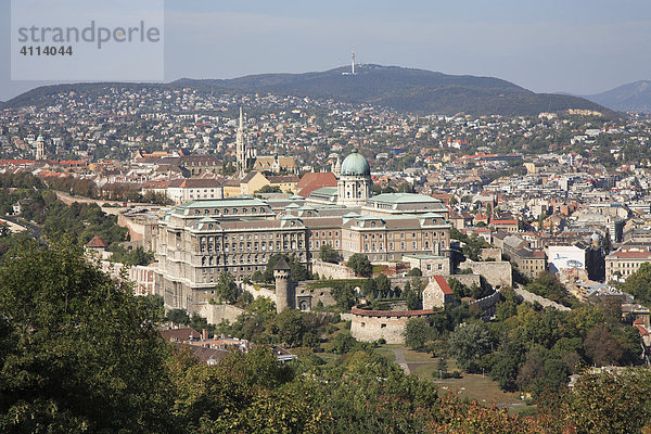 Budaer Burg  Budapest  Ungarn