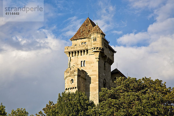 Burg Liechtenstein Maria Enzersdorf Mödling Niederösterreich Österreich