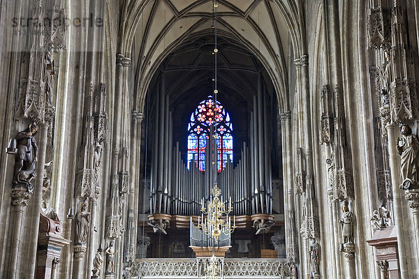 Innenansicht mit Orgel Stephansdom Wien Österreich
