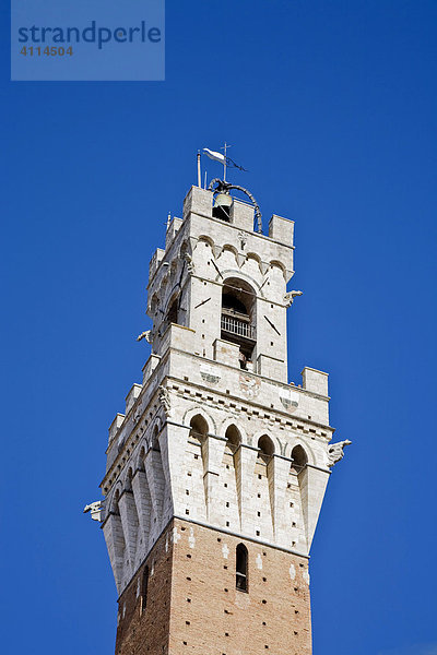 Torre del Mangia Siena Toskana Italien