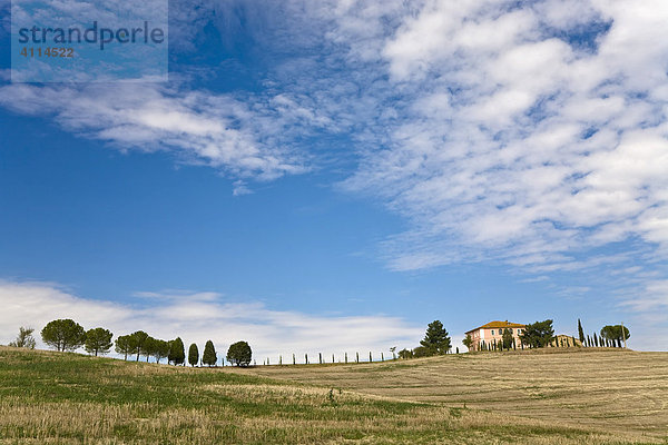 Mit Zypressen (Cupressus) gesäumtes Landhaus im Tal Val d'Orcia Crete Toskana Italien