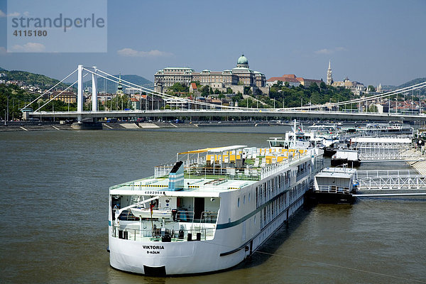 Anlegestelle mit Reiseschiffen auf der Donau im Hintergrund die weiße Elisabethbrücke  Budapest  Ungarn  Südosteuropa  Europa