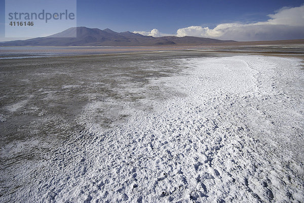 Boraxvorkommen (Rohstoff für die Keramikproduktion) in der Laguna Colorada  Hochland von Uyuni  Bolivien
