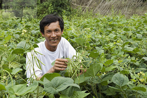 Bauer lachend sitzt in seinem Bohnenfeld  Takeo Province  Kambodscha