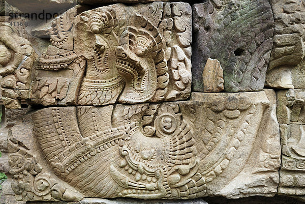 Relief einer vielköpfigen hinduistischen Naga Schlange  Angkor  Kambodscha