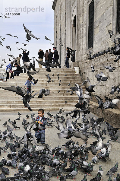 Junge jagt Tauben vor einer Moschee  Istanbul  Türkei