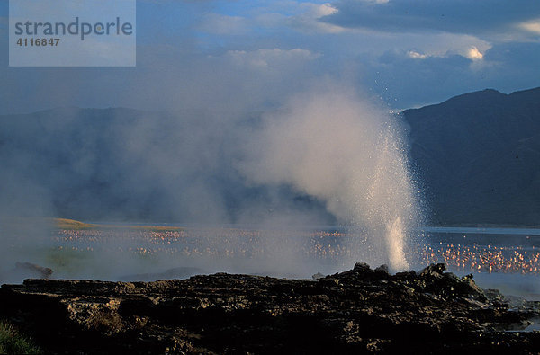 Heiße Quelle in Bogoria  Kenia