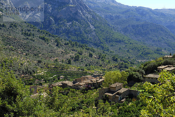 Fornalutx mit Blick auf die Tramuntana  Mallorca  Spanien