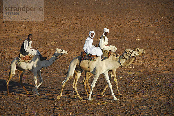 Nomaden auf Kamelen  Meroe  Sudan