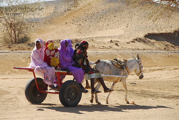 Verschleierte Frauen auf Eselskarren  Meroe  Sudan