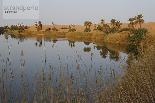 Salzsee Umm al-Ma'a  Ubari-Wüste  Libyen