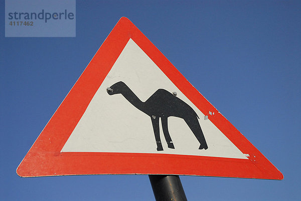 Schild: Vorsicht  Kamele!  bei Muscat  Oman