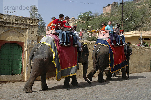 Elefanten vor dem Palast von Amber  Rajasthan  Indien