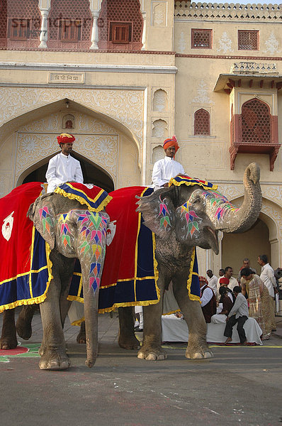Elefanten auf dem Gangaur-Festival  Jaipur  Rajasthan  Indien