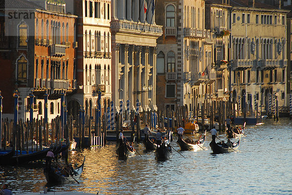 Gondeln auf dem Canal Grande  Venedig  Italien
