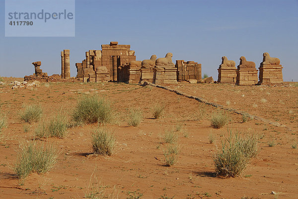Amun-Tempel mit Widderallee  Naga  Sudan  Afrika