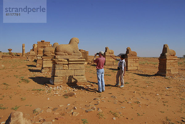 Widderallee des Amun-Tempels  Naga  Sudan  Afrika
