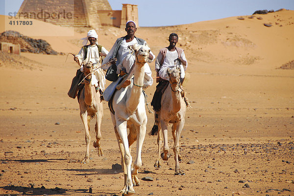 Nomaden auf Kamelen vor den Pyramiden von Meroe  Sudan  Afrika
