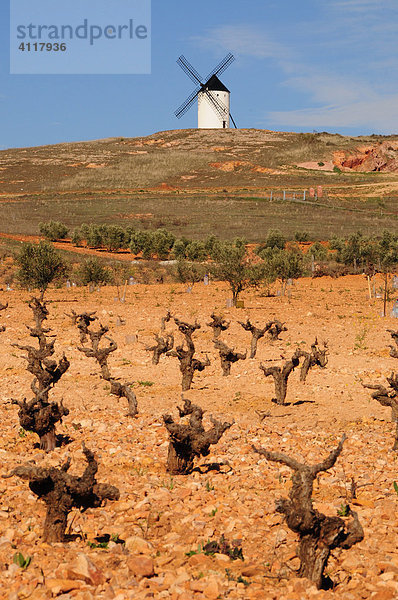 Windmühle auf dem Cerro de San Antón bei Alcázar de San Juan  Region Castilla-La Mancha  Spanien