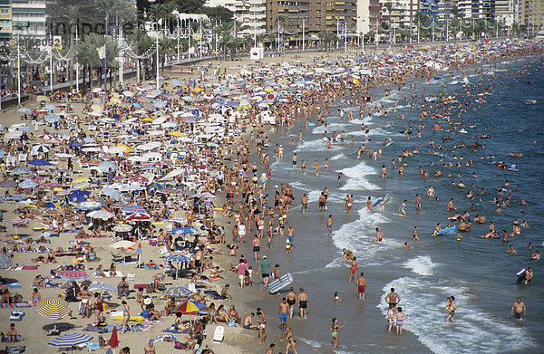 Playa Levante im Hochsommer  Benidorm  Costa Blanca  Spanien  Europa