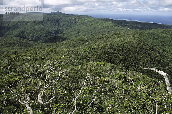 Blick vom Black River Peak auf den Black River Gorges Nationalpark  Mauritius