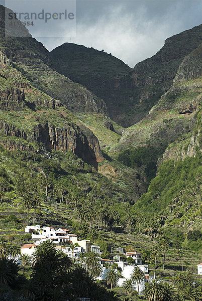 Häuser an den Terrassen des Valle Gran Rey  Insel La Gomera  Kanarische Inseln  Spanien  Europa Insel La Gomera