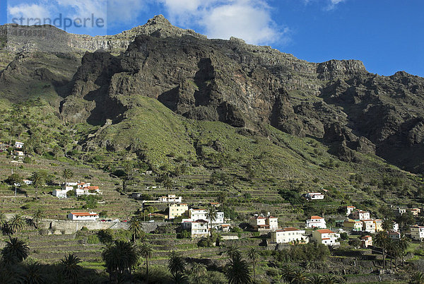 Häuser an den Terrassen des Valle Gran Rey  Insel La Gomera  Kanarische Inseln  Spanien  Europa Insel La Gomera