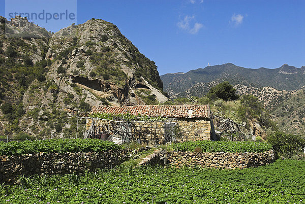 Altes Steinhaus bei Vallehermoso  Insel La Gomera  Kanarische Inseln  Spanien  Europa Insel La Gomera