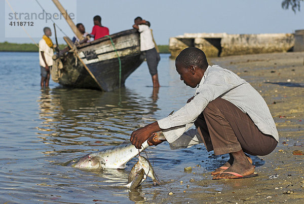 Fischer bei der Arbeit  Ibo Island  Quirimbas Archipel  Mosambik  Afrika