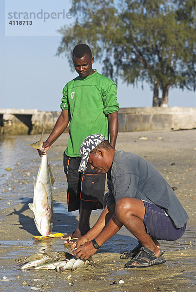 Fischer bei der Arbeit  Ibo Island  Quirimbas Archipel  Mosambik  Afrika