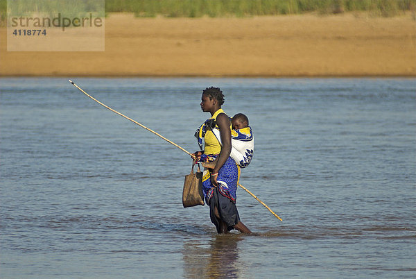 Überqueren des Rio Pungué im Gorongosa Nationalpark  Mosambik  Afrika