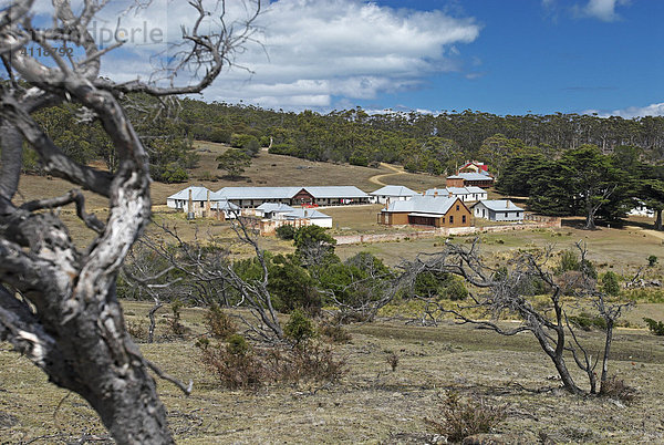 Blick auf die einstige Sträflingskolonie Darlington  Maria Island Nationalpark  Tasmanien  Australien