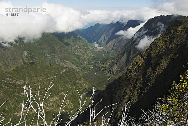 Blick in die Schlucht des Riviere des Remparts  Insel La Reunion  Frankreich  Afrika