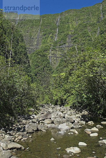 Bach und Wasserfälle im Kessel des Grand Etang  Insel La Reunion  Frankreich  Afrika