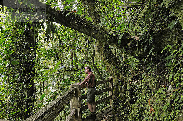 Urwald am Arenal-See  Costa Rica  Mittelamerika