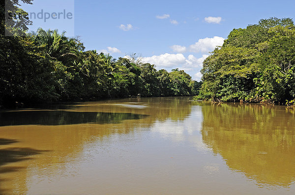 Rio Frio  Cano Negro Naturreservat  Costa Rica  Mittelamerika