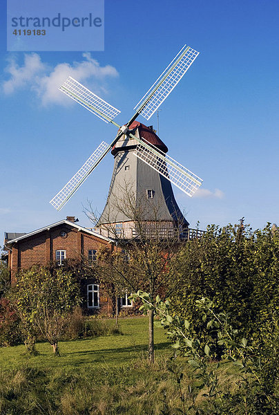 Windmühle  Osterholz-Scharmbeck  Niedersachsen  Deutschland